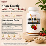 Shrink Toning Berberine HCl 1200mg Per Serving