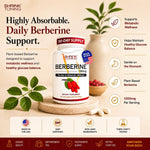 Shrink Toning Berberine HCl 1200mg Per Serving